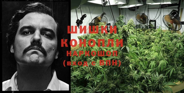 прущий лед Михайлов