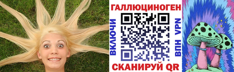 Купить где  Карабулак  Галлюциногенные грибы GOLDEN TEACHER 